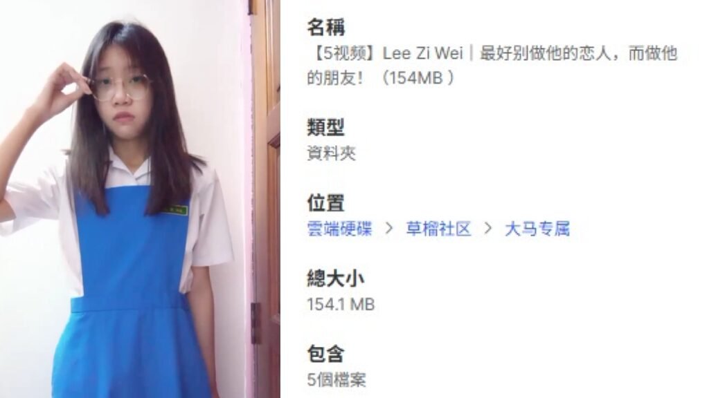 【5视频】Lee Zi Wei｜最好别做他的恋人，而做他的朋友！（154MB ）