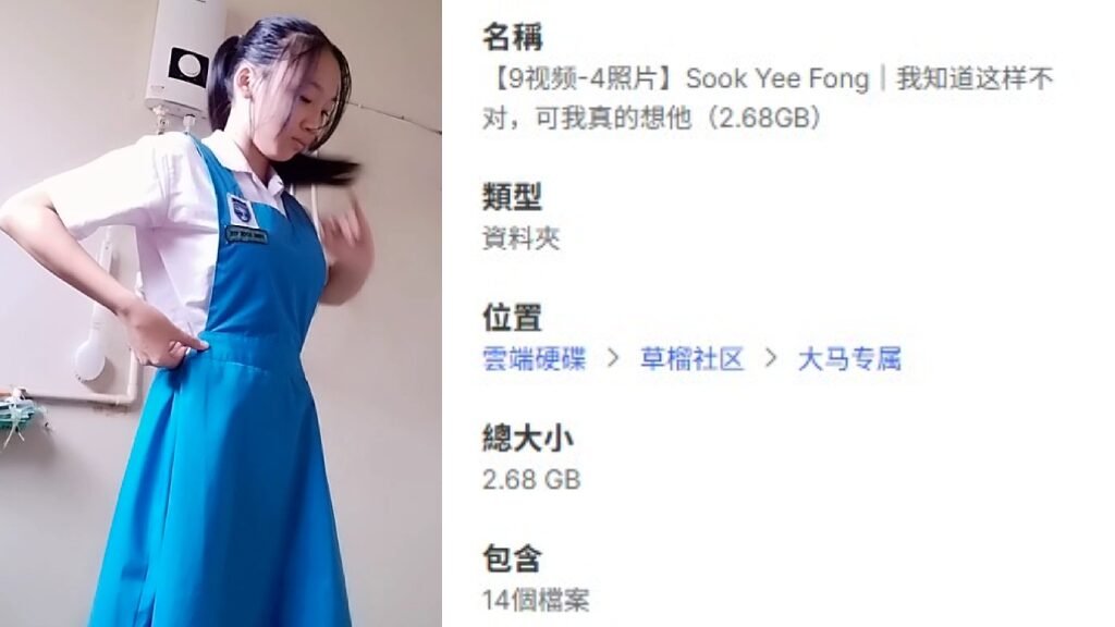【9视频-4照片】Sook Yee Fong｜我知道这样不对，可我真的想他（2.68GB）