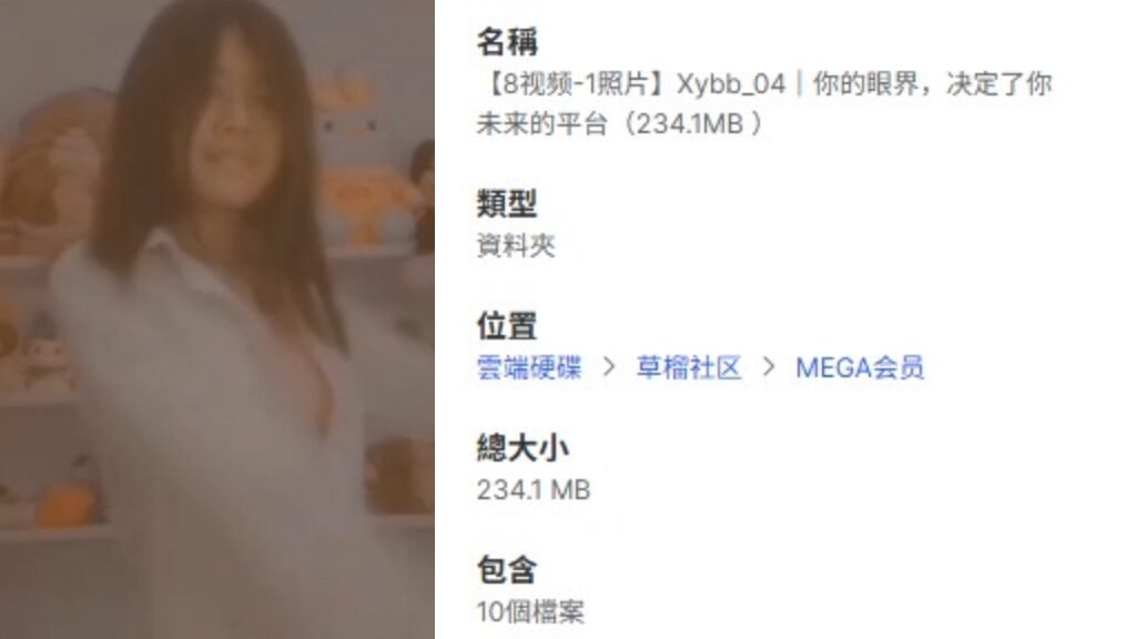 【8视频-1照片】Xybb_04｜你的眼界，决定了你未来的平台（234.1MB ）