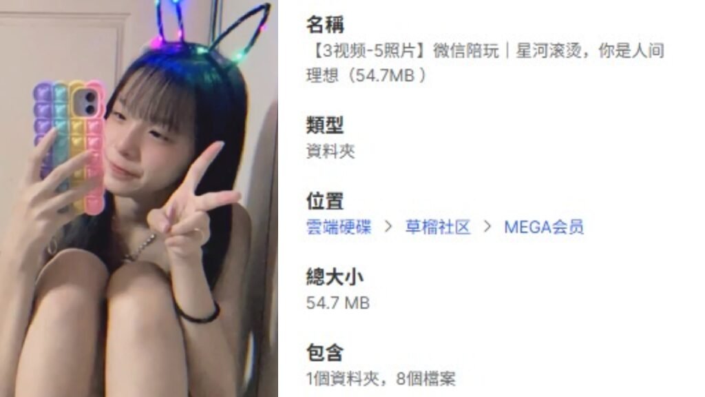 【3视频-5照片】微信陪玩｜星河滚烫，你是人间理想（54.7MB ）