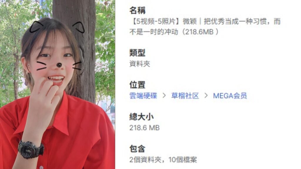 【5视频-5照片】微颖｜把优秀当成一种习惯，而不是一时的冲动（218.6MB ）