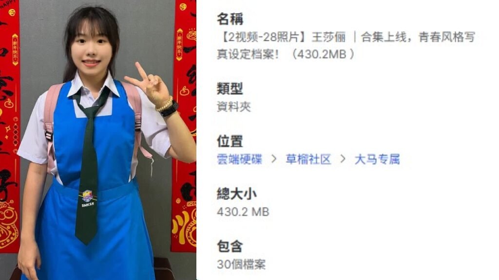 【2视频-28照片】王莎俪 ｜合集上线，青春风格写真设定档案！（430.2MB ）