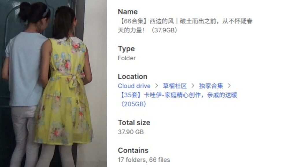 【66合集】西边的风｜破土而出之前，从不怀疑春天的力量！（37.9GB）