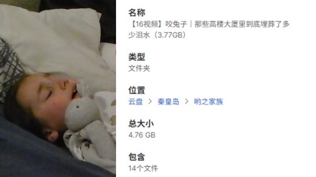 【16视频】咬兔子｜那些高楼大厦里到底埋葬了多少泪水（3.77GB）