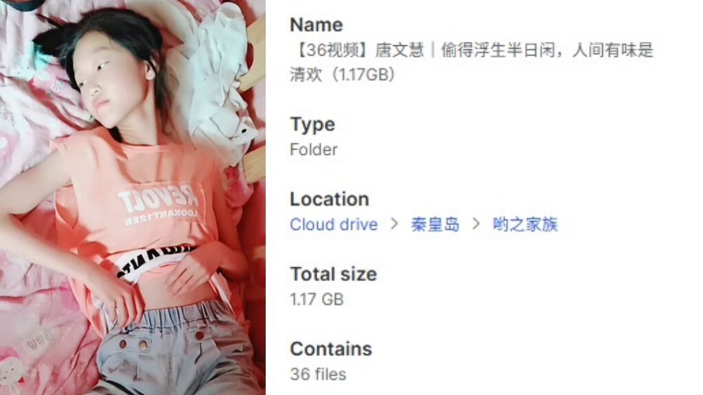 【36视频】唐文慧｜偷得浮生半日闲，人间有味是清欢（1.17GB）