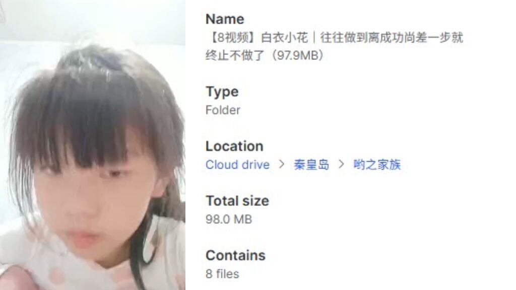 【8视频】白衣小花｜往往做到离成功尚差一步就终止不做了（97.9MB）