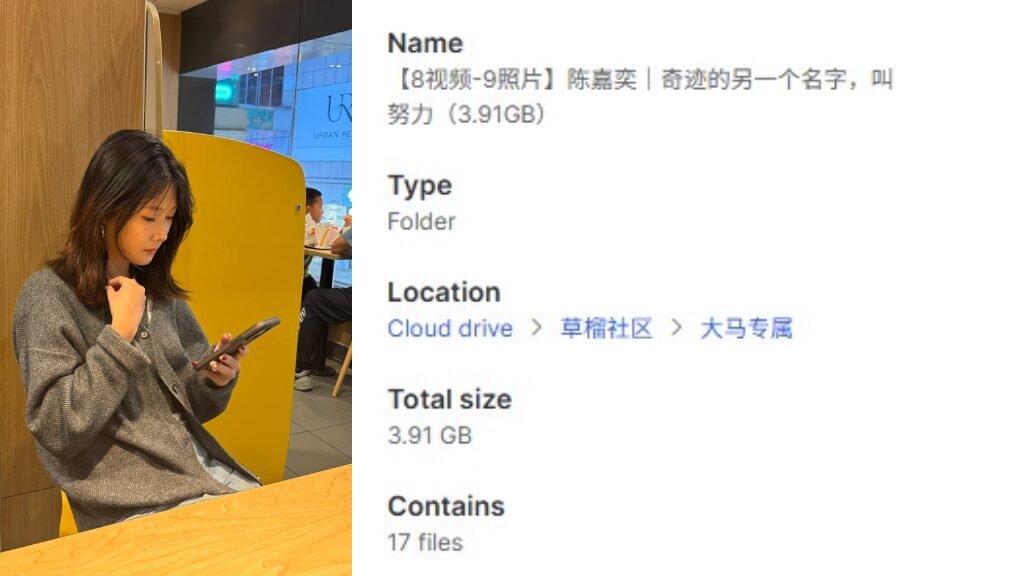 【8视频-9照片】陈嘉奕｜奇迹的另一个名字，叫努力（3.91GB）