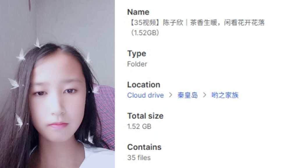 【35视频】陈子欣｜茶香生暖，闲看花开花落（1.52GB）
