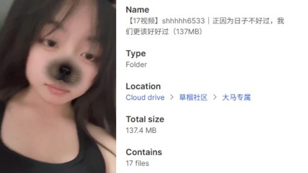 【17视频】shhhhh6533｜正因为日子不好过，我们更该好好过（137MB）