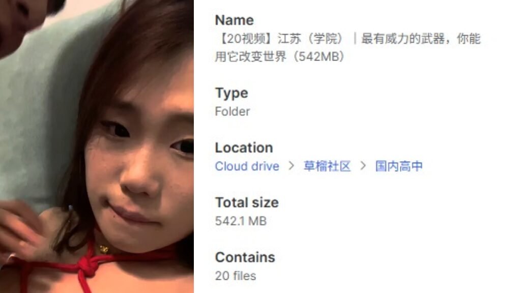 【20视频】江苏（学院）｜最有威力的武器，你能用它改变世界（542MB）