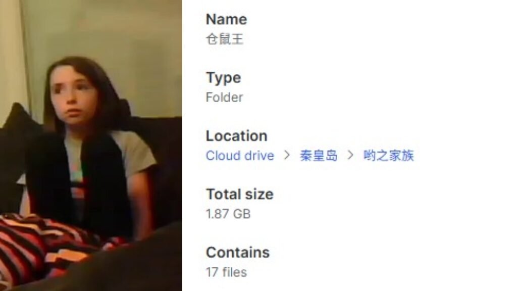 【17视频】仓鼠王｜公正的，它带走一切，也抚平一切（1.86GB）